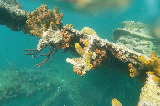 Antilla Shipwreck Seabob Tour - Guided Experience Details