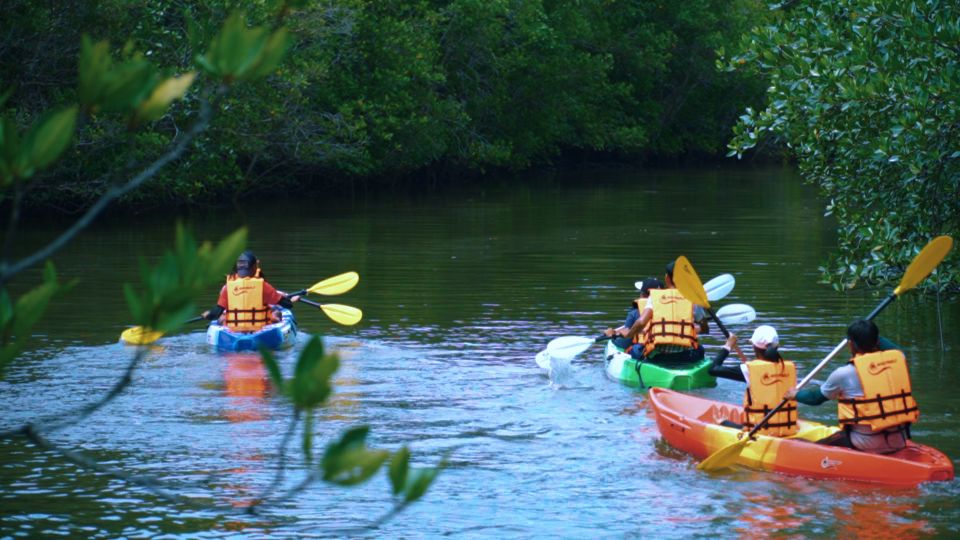 Ao Nang: Kayak Tour in Krabi Mangrove Forest With Lunch - Highlights