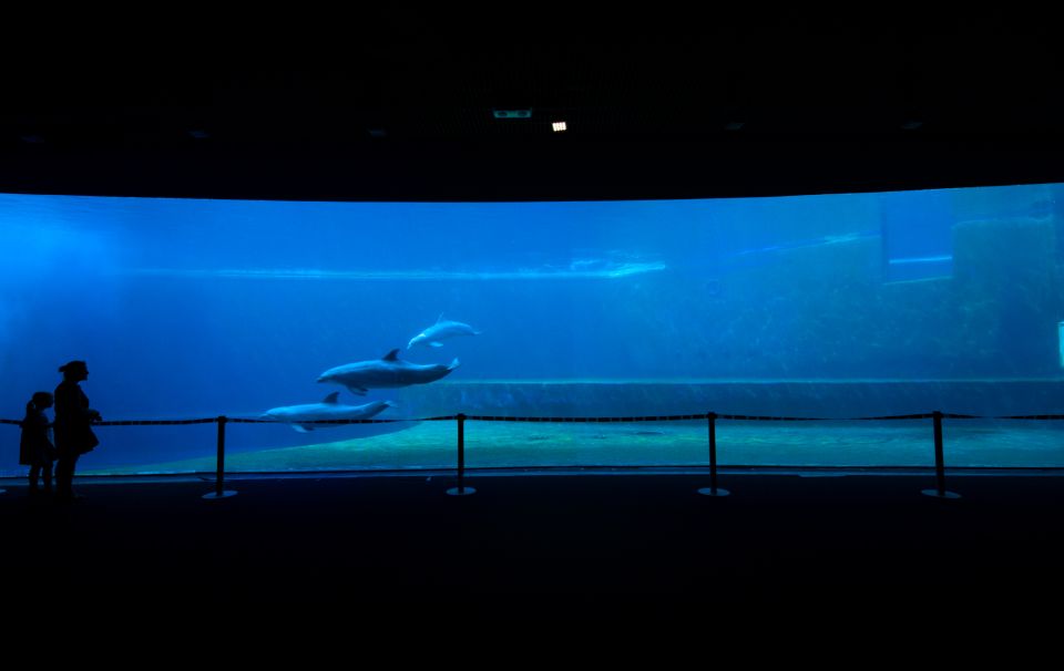 Aquarium of Genoa: Entry Ticket and Aperitif - Experience Highlights