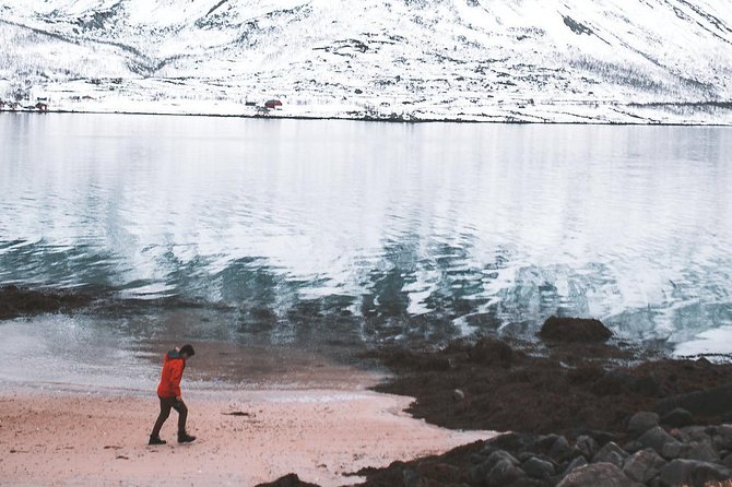 Arctic Fjord Sightseeing by Minibus - Uncovering Hellas Rock Carvings