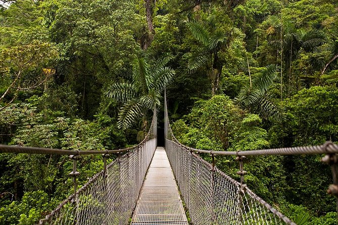 Arenal Combo: Hanging Bridges, La Fortuna Waterfall, Volcano Hike - Key Tour Highlights