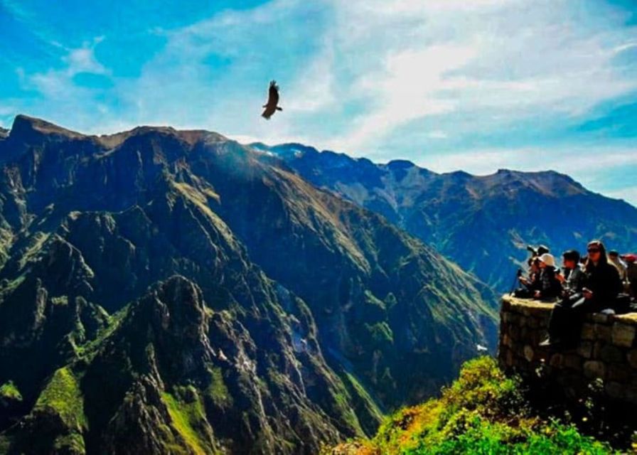 Arequipa: Colca Canyon 1-Day Guided Tour | Condor Flight | - Key Attractions