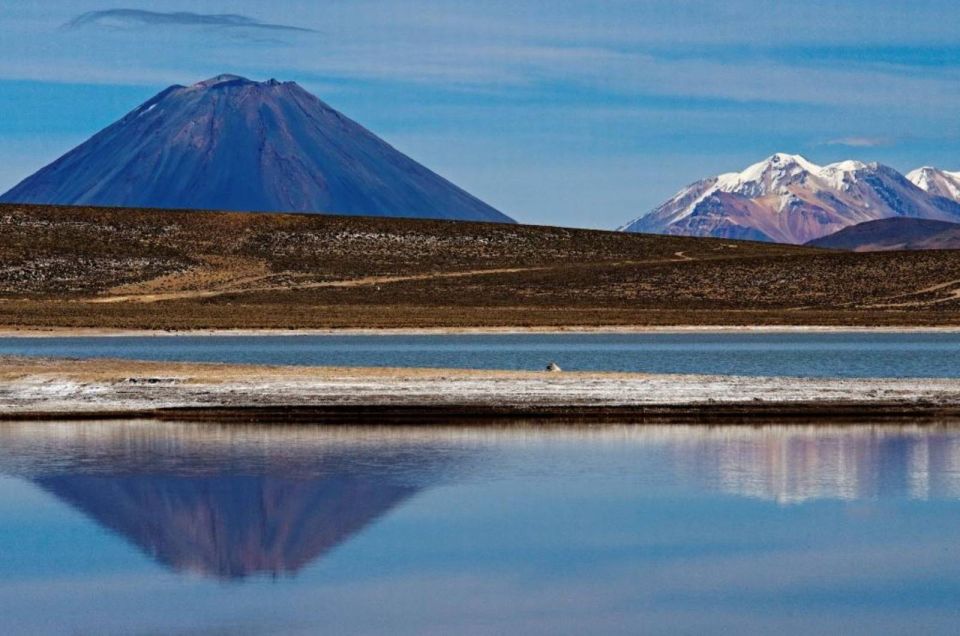 Arequipa: Reserve of Salinas and Aguada Blanca-Lojen Volcano - Itinerary Highlights