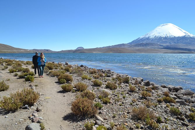 Arica-Lake Chungara-Salar De Surire (3 Days and 2 Nights) - Meals Included