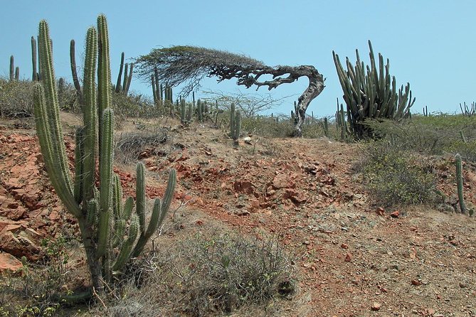 Arikok Adventurous Hiking Experience in Aruba - Hiking Tour Highlights