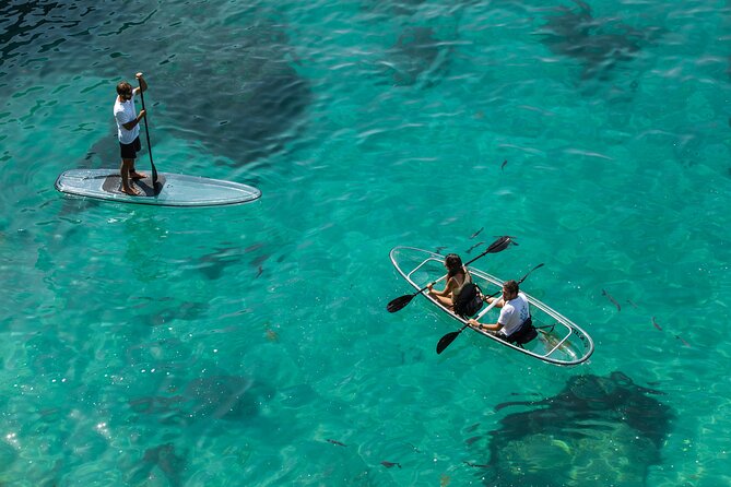 Arrábida: Guided Transparent Kayaking Tour - Meeting and Ending Points