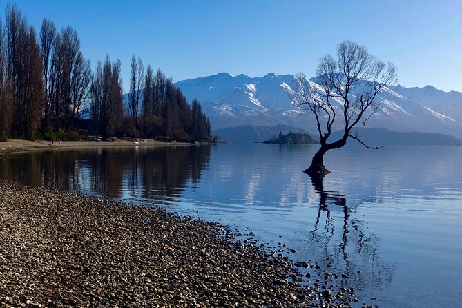Arrowtown and Wanaka Highlights Tour From Queenstown - Tour Inclusions