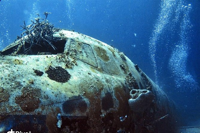 Aruba 2-Tank Guided Dive for Certified Divers - Dive Locations and Highlights