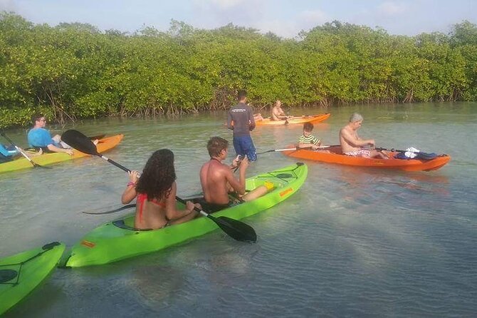 Aruba Glass Bottom Kayak Tour Through the Mangrove Forest - Itinerary Breakdown