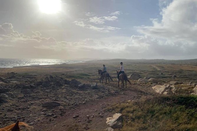 Aruba Horseback Riding Tour to Hidden Lagoon - Inclusions and Meeting Details