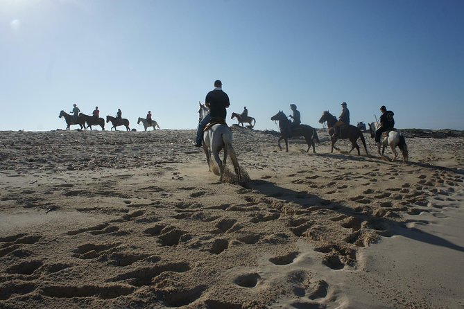 Aruba Private, 2 Hour Horseback Riding Tour For Advanced Riders - Personalized Riding Experience