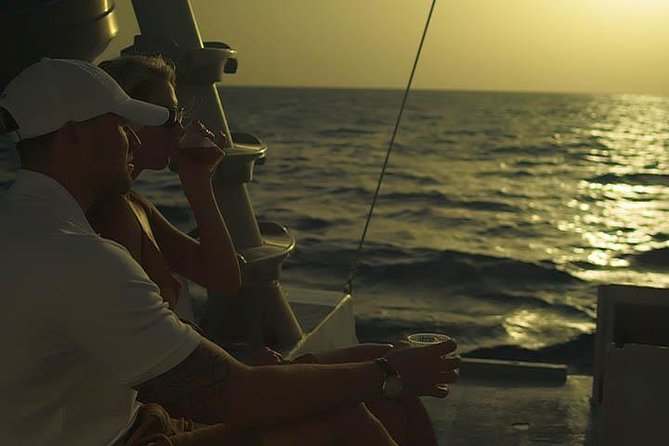 Aruba Sunset Sail Cruise Aboard the Dolphin Catamaran - Confirmation and Accessibility