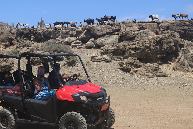 Aruba UTV, ATV Adventure to Secret Beach and Cave Pool - Volcanic Landscape Trekking