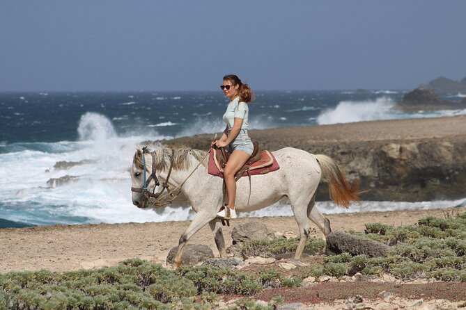 Arubas Northern Coast Horseback Adventure - Unique Ecosystem and History