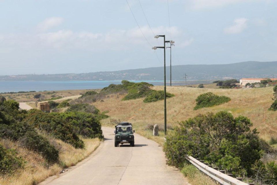 Asinara National Park: Full Day Off-Road Tour - Itinerary Highlights