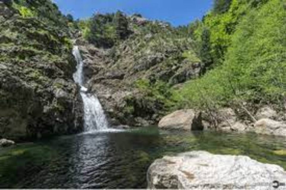 Aspromonte National Park: Private Trek to the Maesano Falls - Pricing