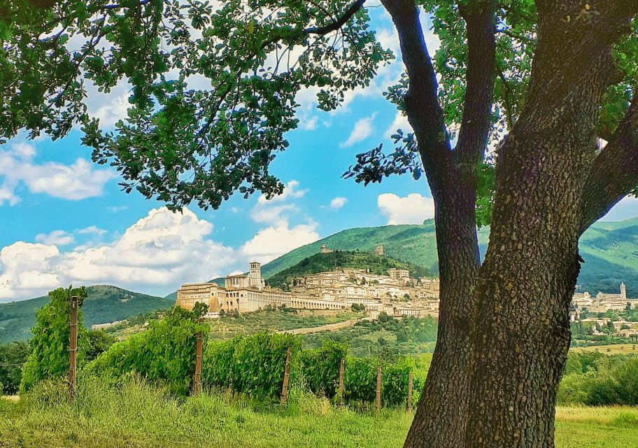Assisi: Wine Tasting, Gourmet Pairing, Walk in the Vineyards - Tasting and Pairing