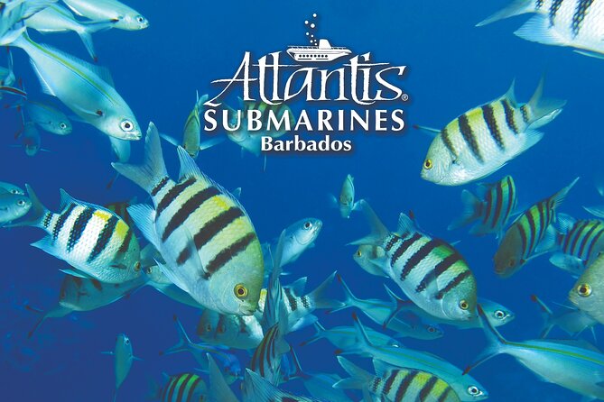 Atlantis Submarine Day Tour - Tour Inclusions