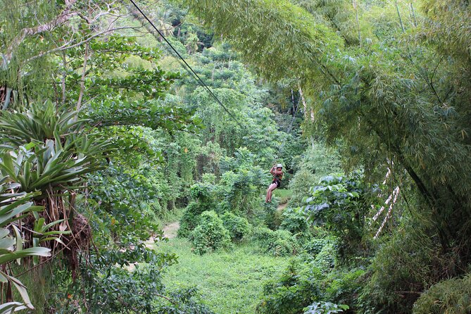 ATV, Zipline, River Tubing and Island Gully Falls - ATV Safari Experience