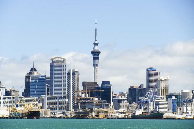 Auckland Airport Transfers: Auckland Airport AKL to Auckland in Luxury Van - Convenience of Pre-Booking