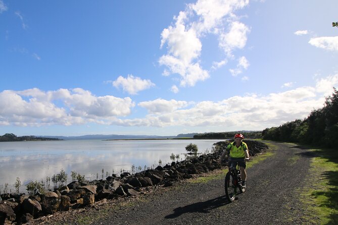 Auckland Half Day E-Bike Excursion - Meeting Point and Pickup