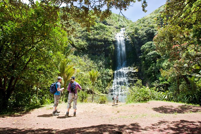 Auckland Maori Tour - Itinerary and Key Locations