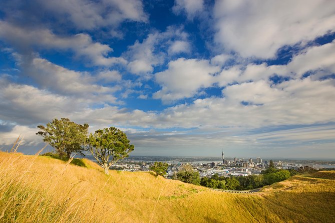 Auckland Private Tour Including Airport Transfer - Pickup and Drop-off Details