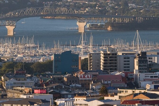 Auckland Shore Excursion Private Tour - Inclusions and Features