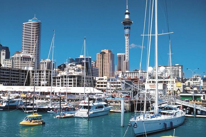 Auckland Shore Excursion: West Coast Wineries Tour - Meeting and End Points