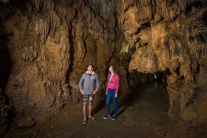Auckland to Rotorua via Waitomo Caves Small Group Tour (One Way) - Itinerary Overview
