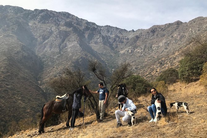 Authentic Andes Adventure: Private Horse Riding and Cheese & Wine - Health and Safety Guidelines