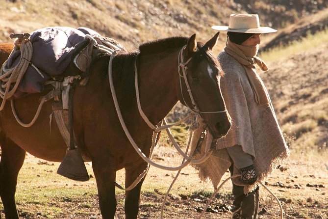 Authentic Horseback Ride With Chilean Cowboys in the Andes Close to Santiago! - Picnic Lunch