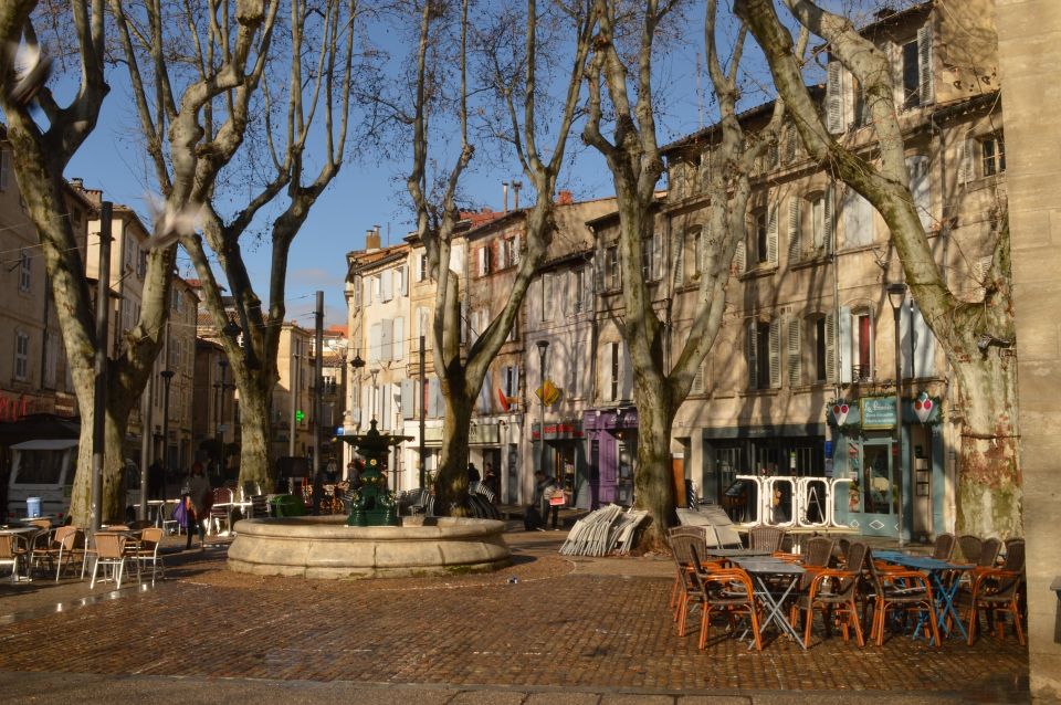 Avignon Private Guided Tour and Wine Tastings From Marseille - Itinerary Highlights