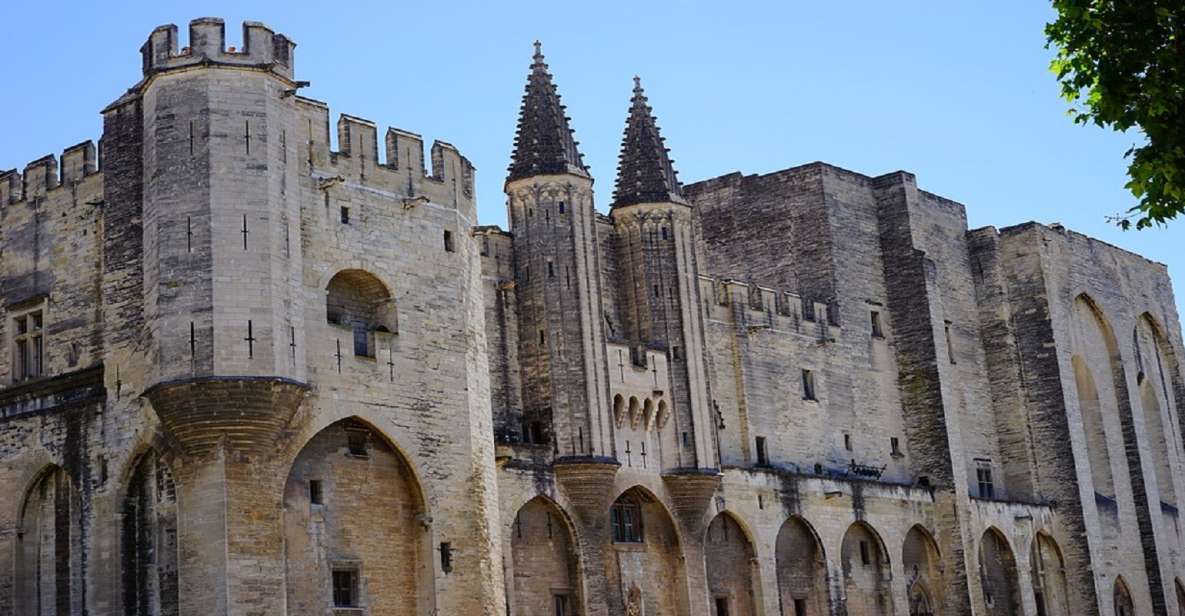 Avignon: Wine Tasting Tour - Experience Highlights