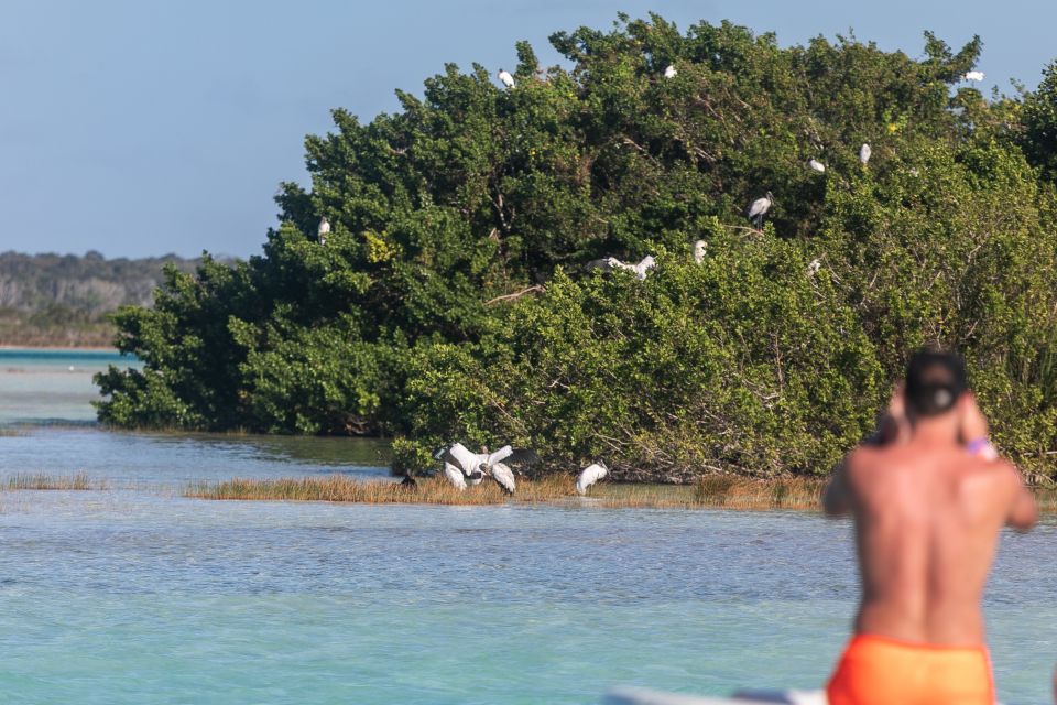 Bacalar: Full Day Kayak Rental in the Lagoon of Seven Colors - Kayak Rental Inclusions