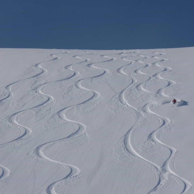 Backcountry Ski/Splitboard: Powder Warrior, February - Embracing the Backcountry Adventure