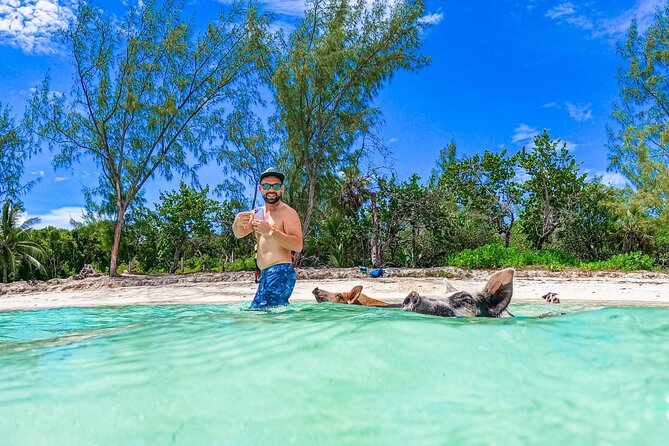 Bahamas: Swimming Pigs, Snorkeling, Beach Break Package - Guest Feedback Highlights