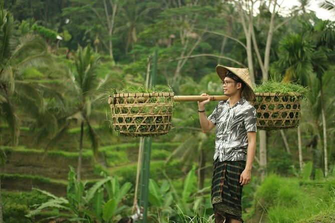 Bali 2 Days Package Nusa Penida and Ubud Tour With All Inclusive - Inclusions and Amenities