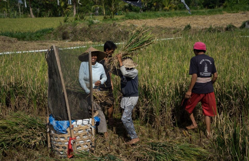 Bali: 6-Hour UNESCO Sites Cultural Walking Tour - Key Highlights