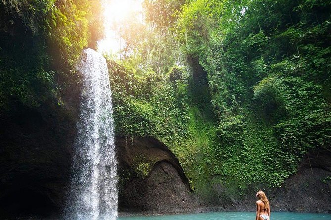 Bali : Best Private Day Tour With Private Driver - Pickup and Meeting Points