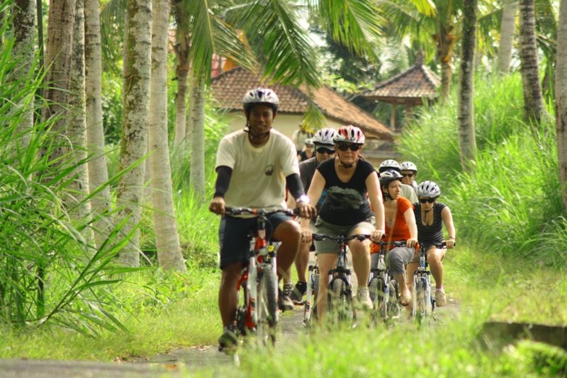 Bali Countryside Cycling Tour - Cycling Through the Countryside