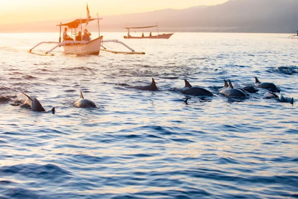 Bali: Dolphin Watching, Snorkeling & Hot Spring Tour - Dolphin Watching Excursion