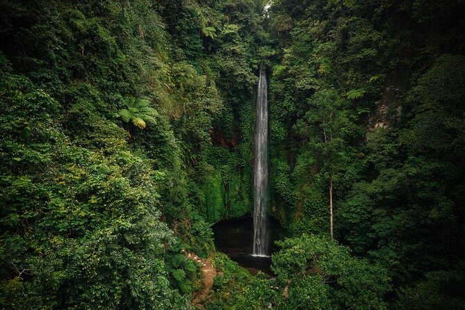 Bali Dream Tours and Transportation - Cancellation