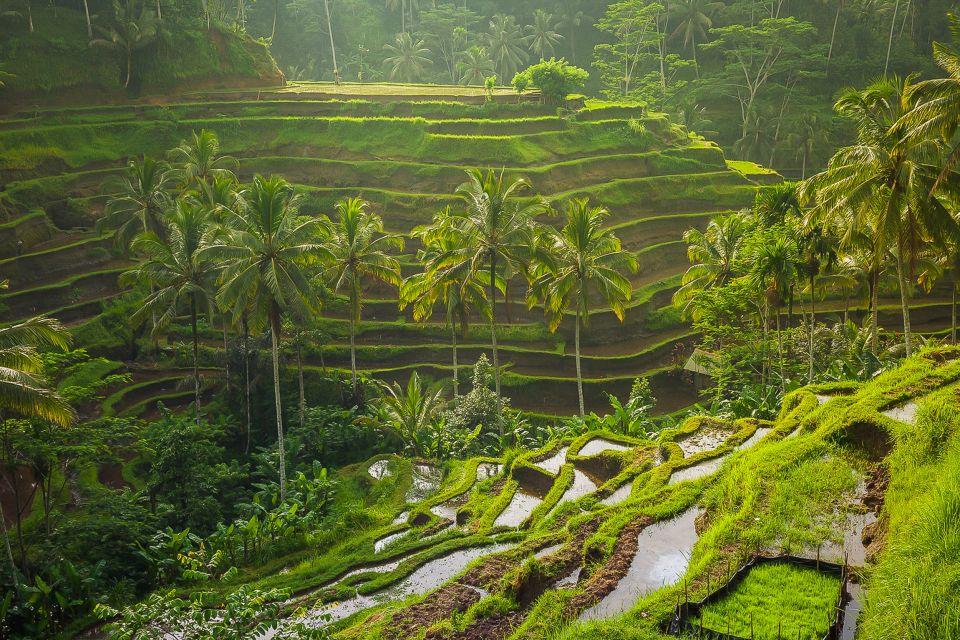 Bali: Full-Day Instagram Highlights Tour - Lempuyang Temple