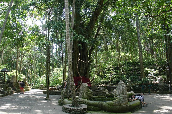 Bali Full-Day Traditional Village Sightseeing Trip All Inclusive - Plantation and Rice Terrace Tour