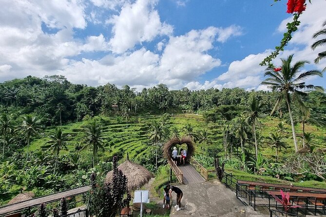 Bali Holy Bathing Ritual and Ubud Highlights Tour - Cultural Insights