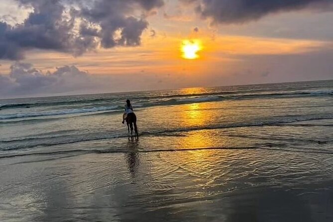 Bali Horse Riding in Seminyak Beach Private Experiance - Meeting and Pickup Information