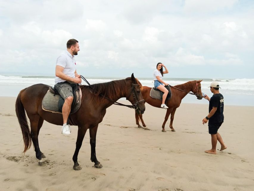 Bali: Horse Riding Tour on Seminyak Beach Include Transport - Itinerary