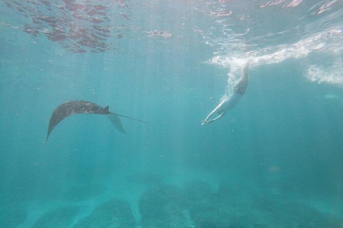 Bali Private Snorkeling (Manta, Sea Cucumber, Crystal) and Nusa Penida Tour - Inclusions and Amenities