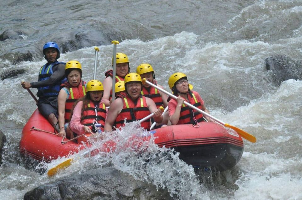 Bali Rafting Adventures and Ubud Day Trip - Pricing and Booking